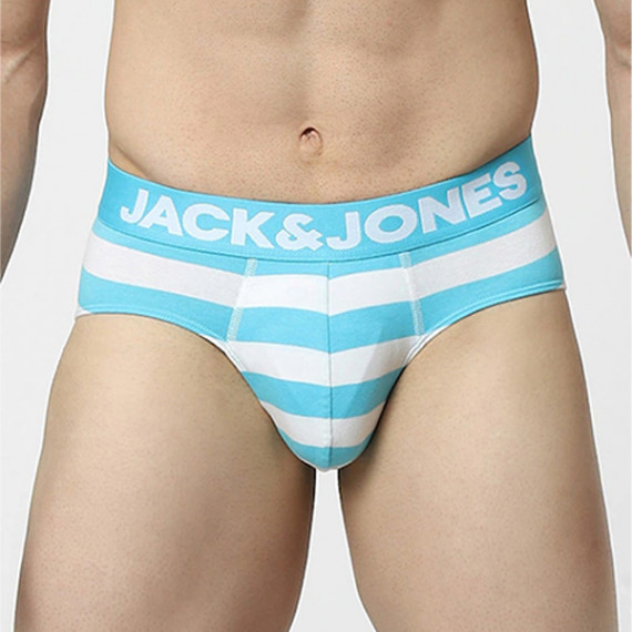 https://goldensgrove.in/products/men-blue-striped-basic-briefs